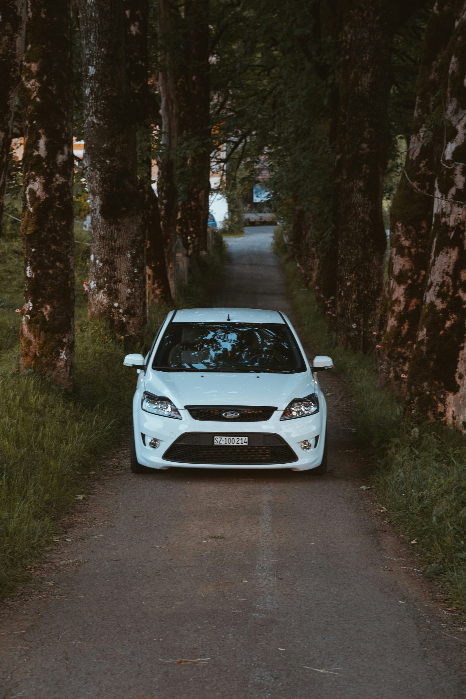 Ford Focus photo 4